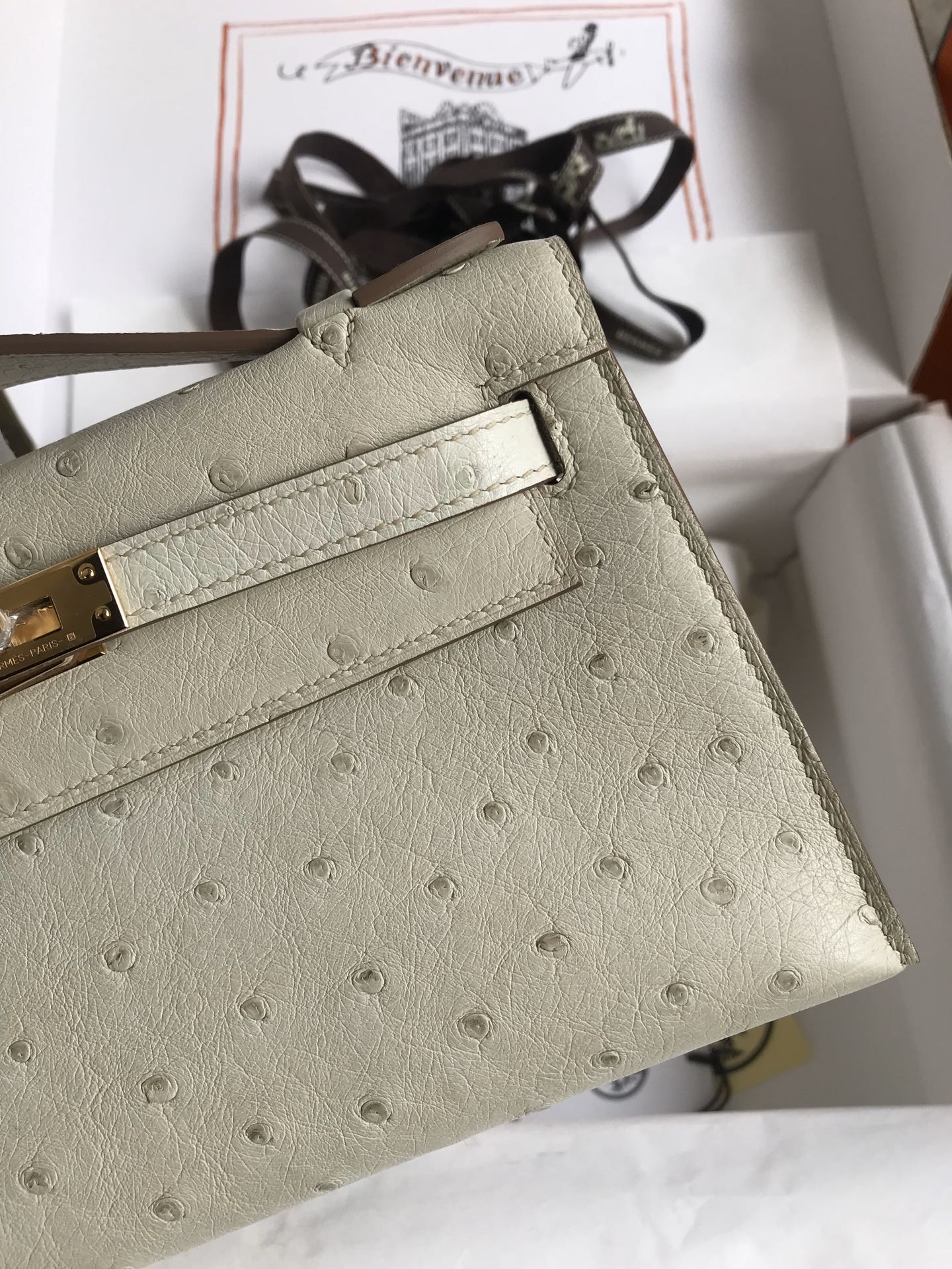 Hermes Mini Kelly Pochette 22cm Bag In Beton Ostrich Leather